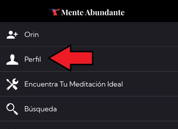Tocar Perfil en el menú de la app